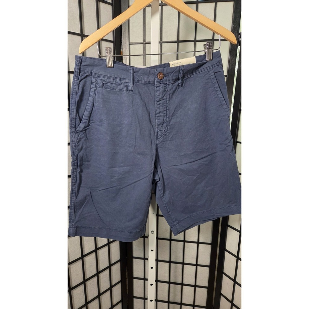 American Eagle Mens Size 32 Blue Flat Front Longer Length Chino Shorts